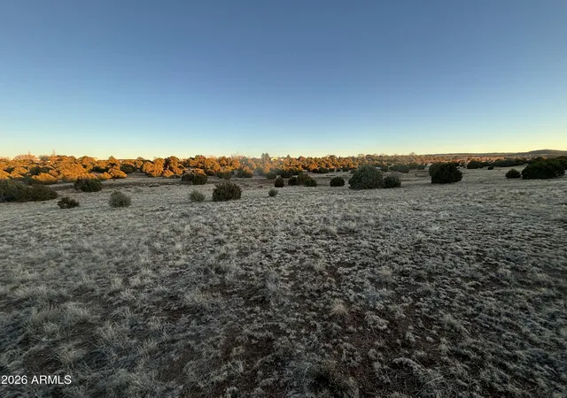 Photo 6 of Land for sale at 4967 Hollyhock St, Clay Springs, AZ 85923 | MLS# 7056442 | Listing updated on 2026-07-20