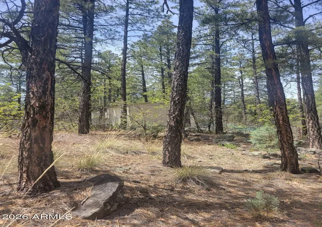 Photo 3 of Land for sale at 1437 E Elk Ln #33, Pinetop, AZ 85935 | MLS# 7056502 | Listing updated on 2026-07-31