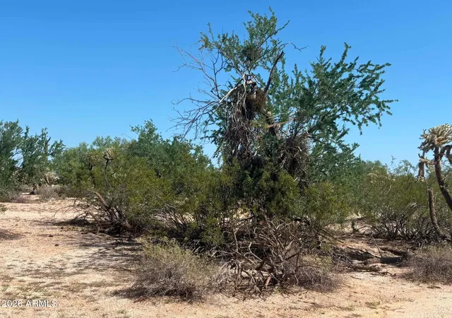 1st image of 12577 N Hexcel Rd, Florence, AZ 85132 | MLS# 7056695