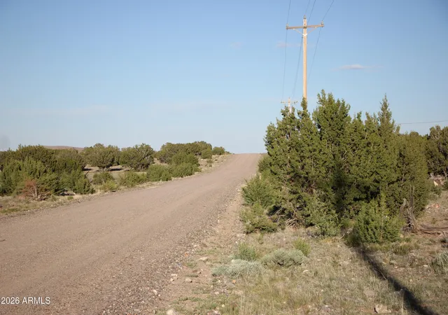 13th image of 8623 Tbd County Road 8623 #62, Concho, AZ 85924 | MLS# 7056717