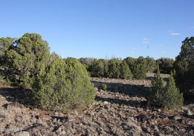 2nd image of 8623 Tbd County Road 8623 #62, Concho, AZ 85924 | MLS# 7056717