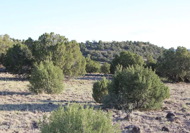 Photo 3 of Land for sale at 8623 Tbd County Rd #62, Concho, AZ 85924 | MLS# 7056717 | Listing updated on 2026-07-21