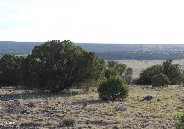 Photo 3 of Land for sale at 8623 Tbd County Rd #62, Concho, AZ 85924 | MLS# 7056717 | Listing updated on 2026-07-21
