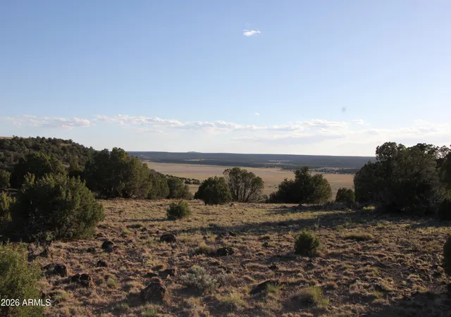 Photo 4 of Land for sale at 8623 Tbd County Rd #62, Concho, AZ 85924 | MLS# 7056717 | Listing updated on 2026-07-21