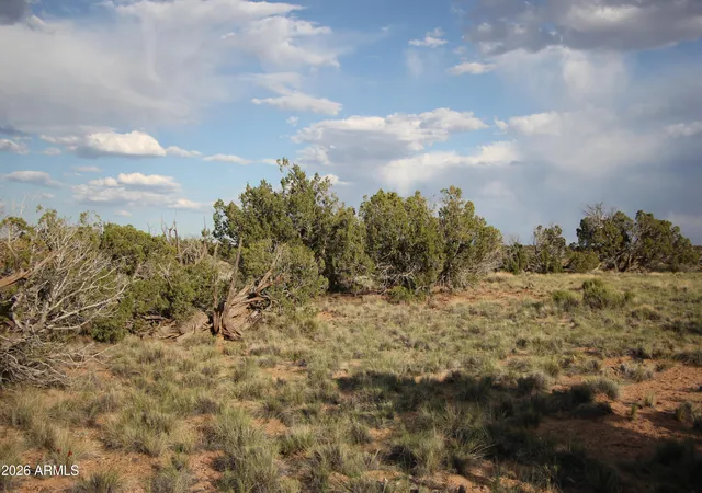 Photo 3 of Land for sale at 6711 N N6711 #64, St Johns, AZ 85936 | MLS# 7056850 | Listing updated on 2026-07-21