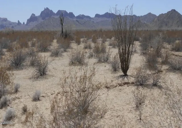 Photo 1 of Land for sale at 56366 W Centennial Rd, Tonopah, AZ 85354 | MLS# 7056998 | Listing updated on 2026-07-22