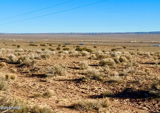 18th image of 0 N7009 40 Acres, Chambers, AZ 86502 | MLS# 7057010