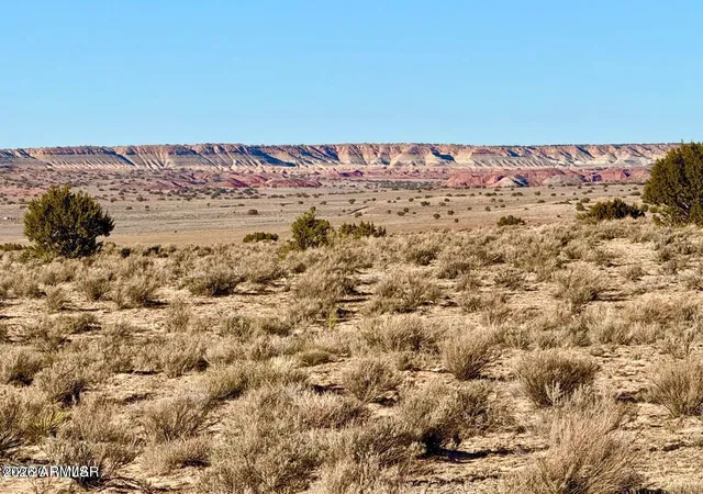 1st image of 0 N7009 40 Acres, Chambers, AZ 86502 | MLS# 7057010