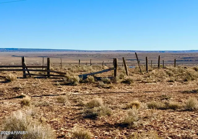 2nd image of 0 N7009 40 Acres, Chambers, AZ 86502 | MLS# 7057010