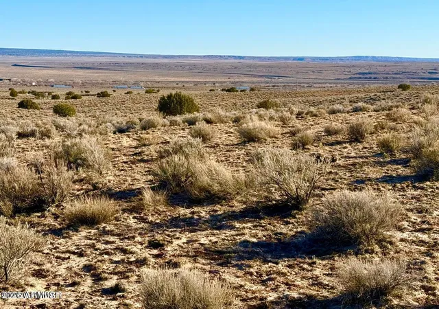 3rd image of 0 N7009 40 Acres --, Chambers, AZ 86502 | MLS# 7057010