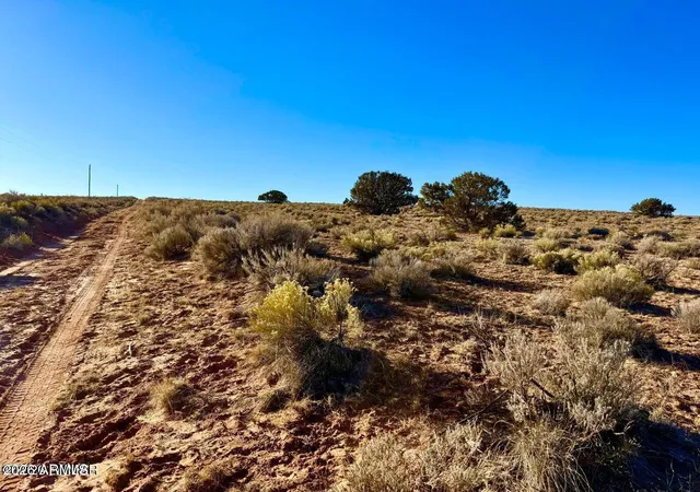 5th image of 0 N7009 40 Acres --, Chambers, AZ 86502 | MLS# 7057010