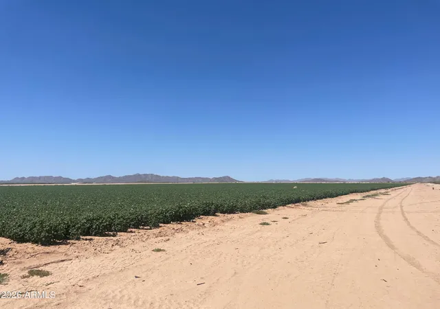 Photo 3 of Land for sale at 0 W Teel Rd, Maricopa, AZ 85138 | MLS# 7057122 | Listing updated on 2026-08-18