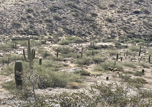 Land for sale at 3246 N Silver Tip Trl, Queen Valley, AZ 85118 | MLS# 7057785
