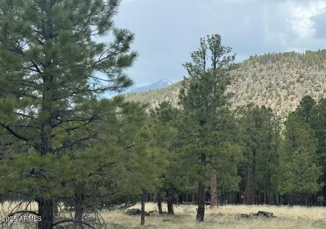 Photo 2 of Land for sale at Lot N 2 Quintana Dr #2, Flagstaff, AZ 86001 | MLS# 7057679 | Listing updated on 2026-07-23