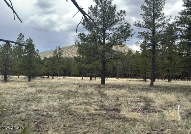 Photo 3 of Land for sale at Lot N 2 Quintana Dr #2, Flagstaff, AZ 86001 | MLS# 7057679 | Listing updated on 2026-07-23