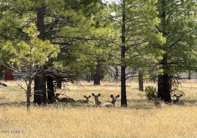 Photo 3 of Land for sale at Lot N 2 Quintana Dr #2, Flagstaff, AZ 86001 | MLS# 7057679 | Listing updated on 2026-07-23