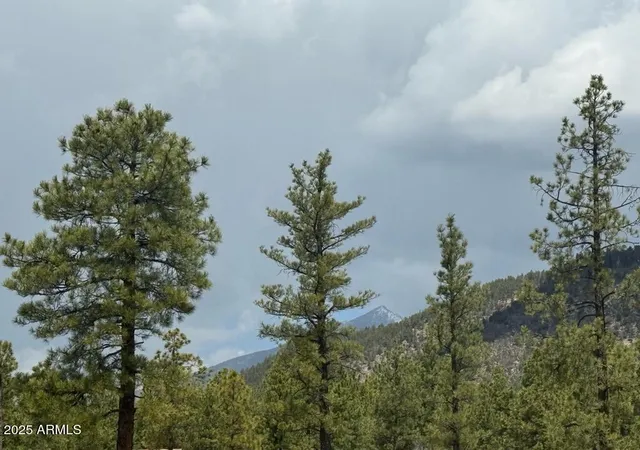 Photo 4 of Land for sale at Lot N 2 Quintana Dr #2, Flagstaff, AZ 86001 | MLS# 7057679 | Listing updated on 2026-07-23