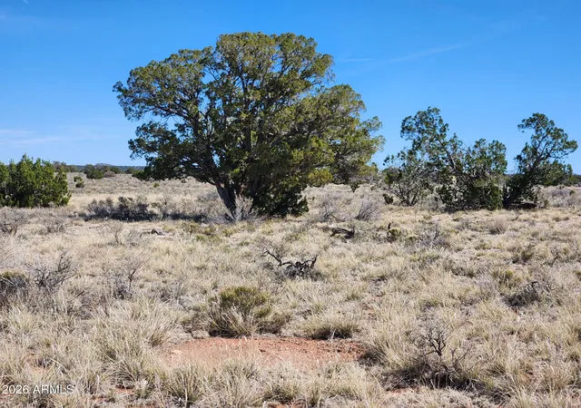 Photo 1 of Land for sale at 721 S Wyandotte Rd #243, Williams, AZ 86046 | MLS# 7061856 | Listing updated on 2026-08-16
