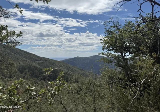 1st image of 00 E Laurita Rd, Crown King, AZ 86343 | MLS# 7058701