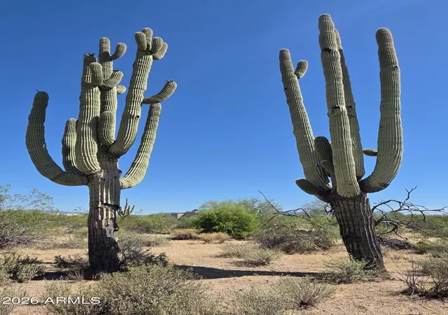 Photo 4 of Land for sale at 31602 N Black Cross Rd #19, Scottsdale, AZ 85266 | MLS# 7058739 | Listing updated on 2026-08-11