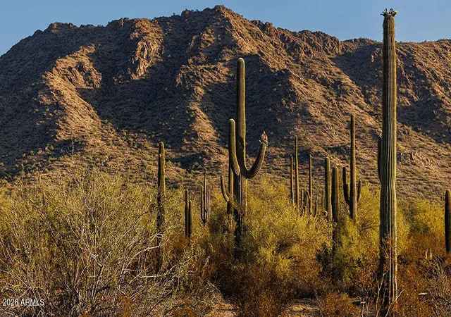 5th image of 31127 N Calabasas Ln, San Tan Valley, AZ 85144 | MLS# 7059163