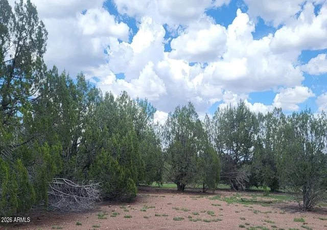 21st image of 111 N Ranch Rd #111, Williams, AZ 86046 | MLS# 7059217