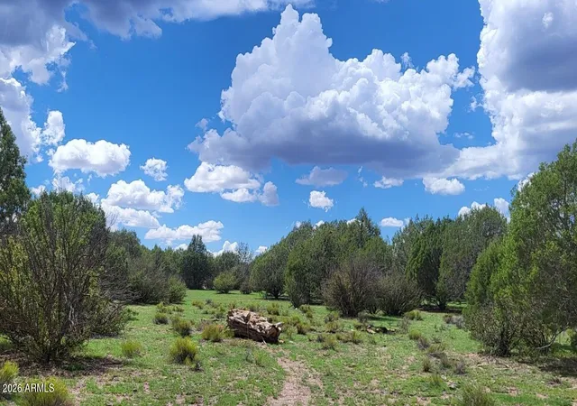 5th image of 111 N Ranch Rd #111, Williams, AZ 86046 | MLS# 7059217