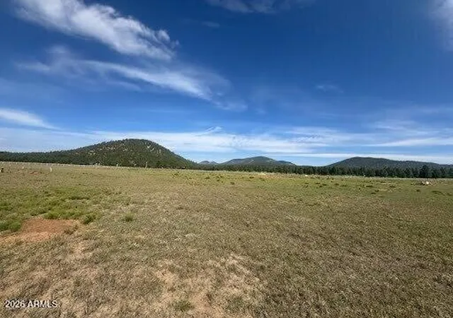 1st image of Lot 36 N Spring Valley Rd, Parks, AZ 86018 | MLS# 7059847