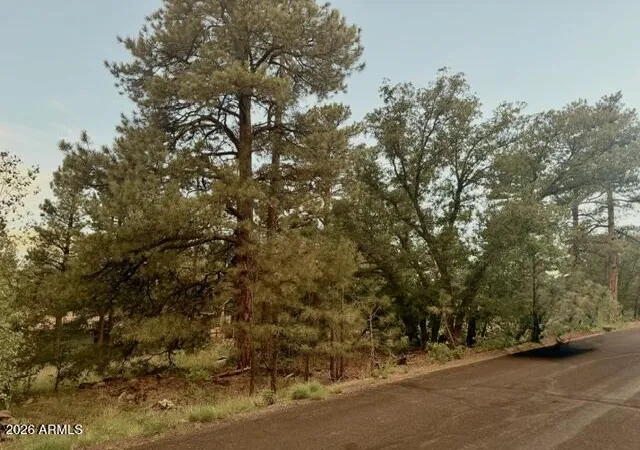 Photo 1 of Land for sale at 645 E Trout Crk Rd #41, Munds Park, AZ 86017 | MLS# 7059598 | Listing updated on 2026-07-28