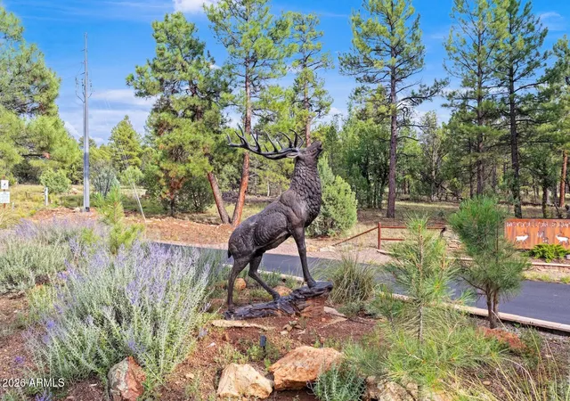 Photo 3 of Land for sale at 8476 Mogollon Trl #110, Happy Jack, AZ 86024 | MLS# 7060799 | Listing updated on 2026-10-01
