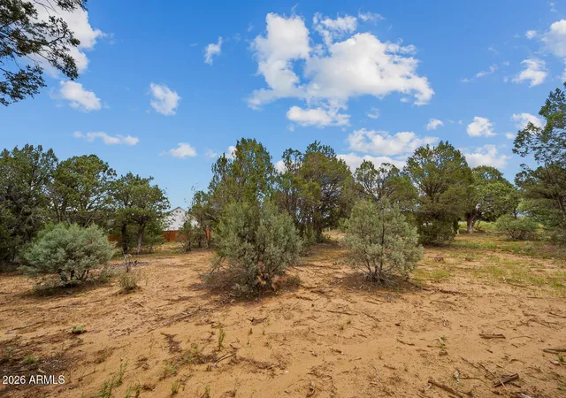 17th image of 1300 N Fairway Ln #'-', Show Low, AZ 85901 | MLS# 7059708