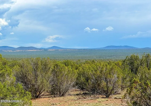 Photo 1 of Land for sale at 0 Gample Ln 13 Acres (lot A), Show Low, AZ 85901 | MLS# 7059727 | Listing updated on 2026-08-04