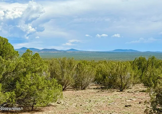 Photo 1 of Sale Pending at 0 Gample Ln 13 Acres (lot B), Show Low, AZ 85901 | MLS# 7059728 | Listing updated on 2026-09-17