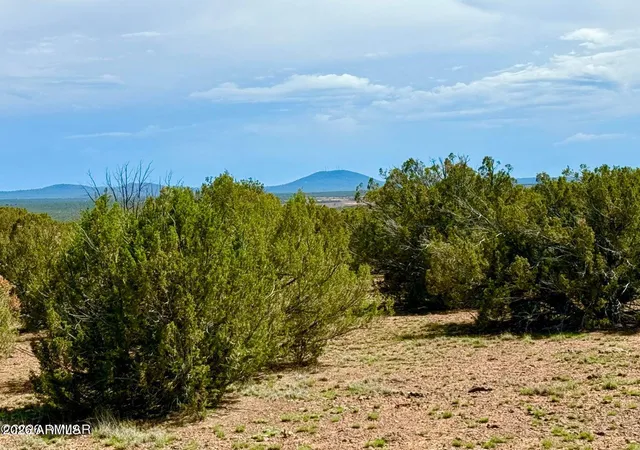 Photo 3 of Sale Pending at 0 Gample Ln 13 Acres (lot B), Show Low, AZ 85901 | MLS# 7059728 | Listing updated on 2026-09-17