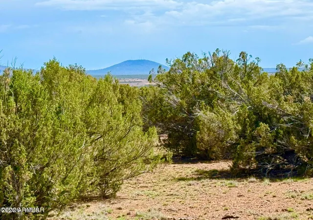 Photo 4 of Sale Pending at 0 Gample Ln 13 Acres (lot B), Show Low, AZ 85901 | MLS# 7059728 | Listing updated on 2026-09-17