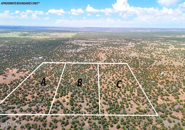 Photo 3 of Land for sale at 0 Gample Ln 13 Acres (lot C), Show Low, AZ 85901 | MLS# 7059734 | Listing updated on 2026-08-04
