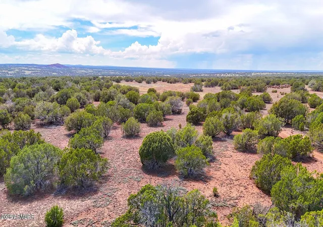 Photo 4 of Land for sale at 0 Gample Ln 13 Acres (lot C), Show Low, AZ 85901 | MLS# 7059734 | Listing updated on 2026-08-04