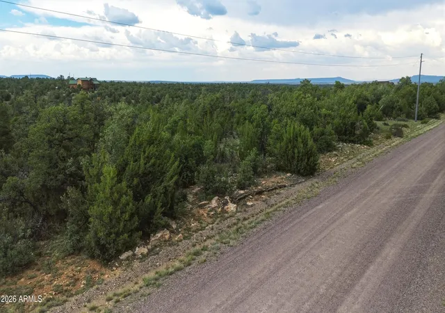 5th image of 3724 Sunset Ridge Loop #142, Happy Jack, AZ 86024 | MLS# 7060685