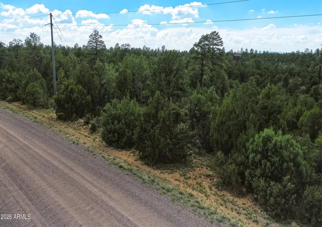 6th image of 3724 Sunset Ridge Loop #142, Happy Jack, AZ 86024 | MLS# 7060685