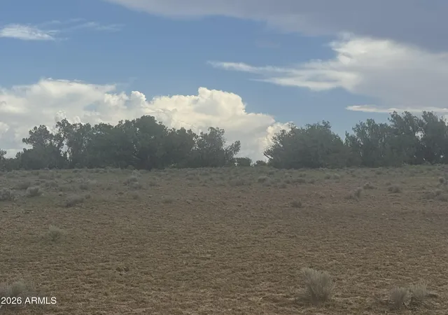 17th image of Lot 19 Red Sky Ranch #19, Sanders, AZ 86512 | MLS# 7060216