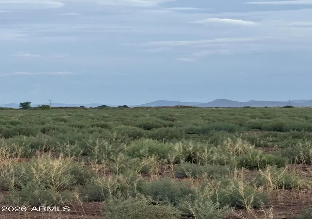 Photo 1 of Land for sale at Xx Adams St #15, Willcox, AZ 85643 | MLS# 7060694 | Listing updated on 2026-08-24