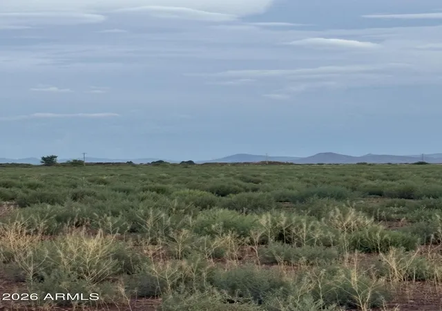 Photo 2 of Land for sale at Xx Adams St #15, Willcox, AZ 85643 | MLS# 7060694 | Listing updated on 2026-08-24