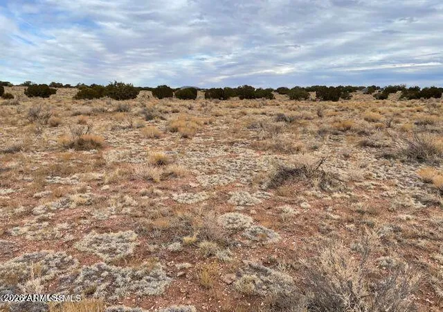 Photo 3 of Land for sale at 3153 E Judy Dr #213, Williams, AZ 86046 | MLS# 7067225 | Listing updated on 2026-08-15