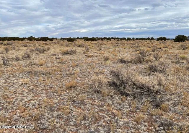 Photo 4 of Land for sale at 3153 E Judy Dr #213, Williams, AZ 86046 | MLS# 7067225 | Listing updated on 2026-08-15
