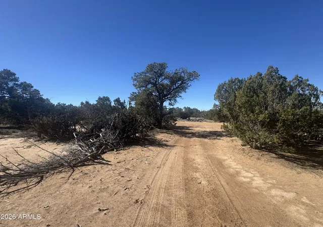 20th image of Lot 86 Witch Well Ranchos #86, St Johns, AZ 85936 | MLS# 7060915
