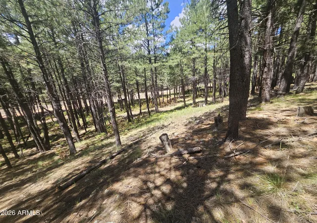2nd image of 589 Trout Springs Rd #71, Forest Lakes, AZ 85931 | MLS# 7061004