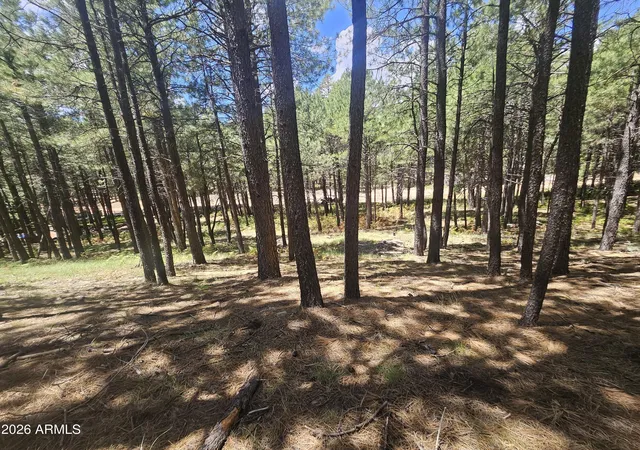 4th image of 589 Trout Springs Rd #71, Forest Lakes, AZ 85931 | MLS# 7061004