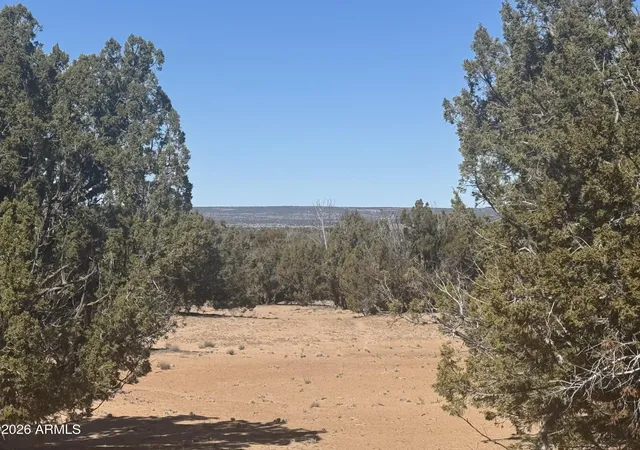 1st image of Lot 52 Witch Well Ranchos #52, St Johns, AZ 85936 | MLS# 7061349