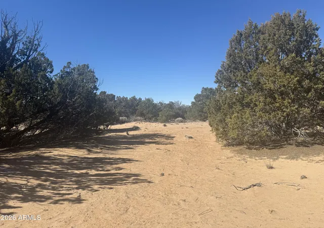 2nd image of Lot 52 Witch Well Ranchos #52, St Johns, AZ 85936 | MLS# 7061349