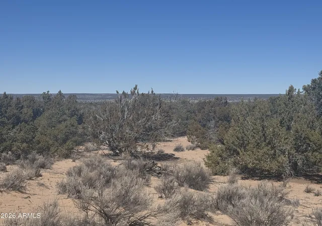 3rd image of Lot 52 Witch Well Ranchos -- #52, St Johns, AZ 85936 | MLS# 7061349